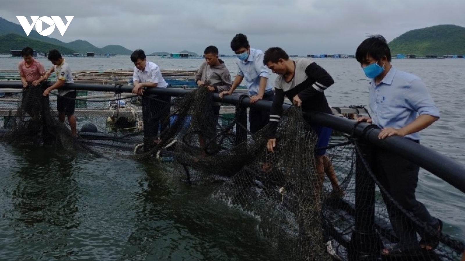 Chuyển đổi công nghệ, hướng đi bền vững cho nuôi hải sản hiện đại ở Khánh Hòa